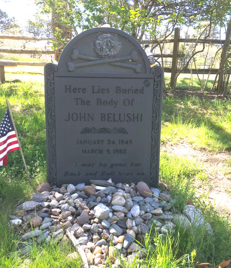 Is John Belushi Really Buried in His Martha's Vineyard Grave?